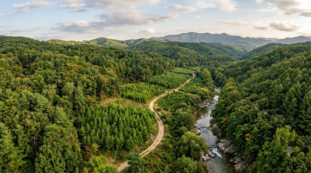 산림자원관리사 1급 자격증 취득방법|산림관리사 조건과 활용처 1 Sustainable forest resource mana… 20261003210052 1